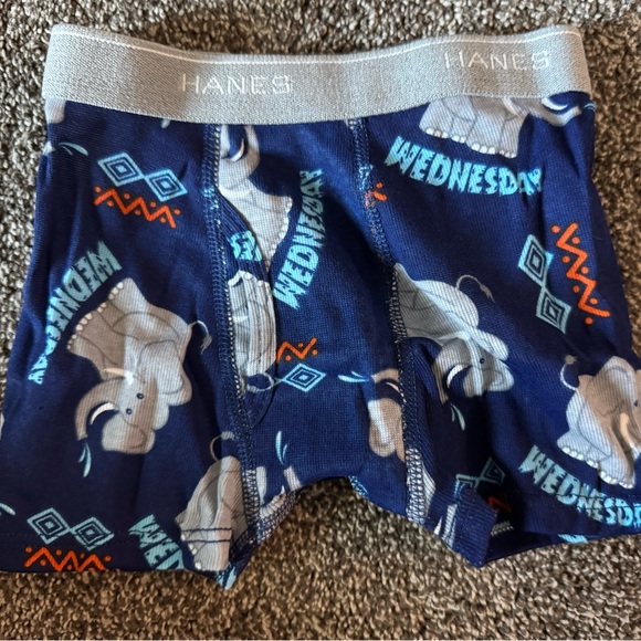Hanes Boys' Underwear Set - Days of the Week Animal Theme NWOT - Picture 10 of 12